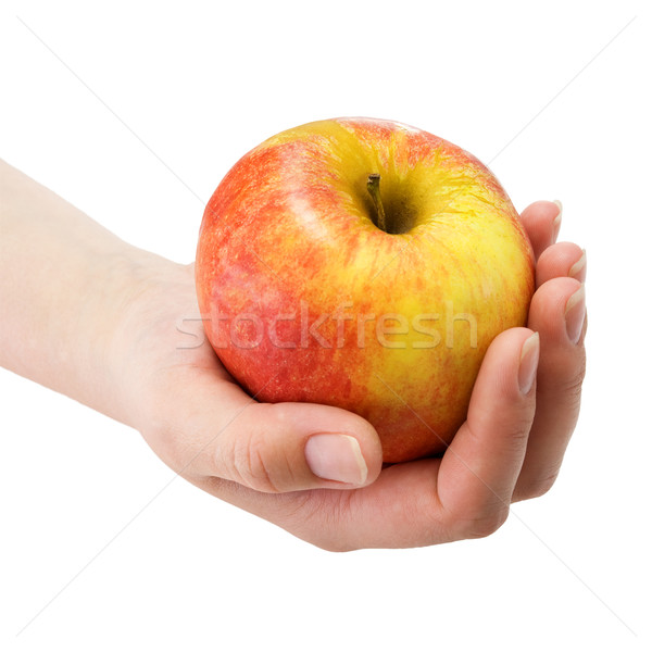 Apple in a hand Stock photo © pzaxe