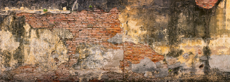 Old, Crumbling, Brick Wall in Georgetown, Penang, Malaysia Stock photo © pzaxe