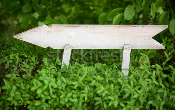 Old wooden arrow indicating the direction Stock photo © pzaxe