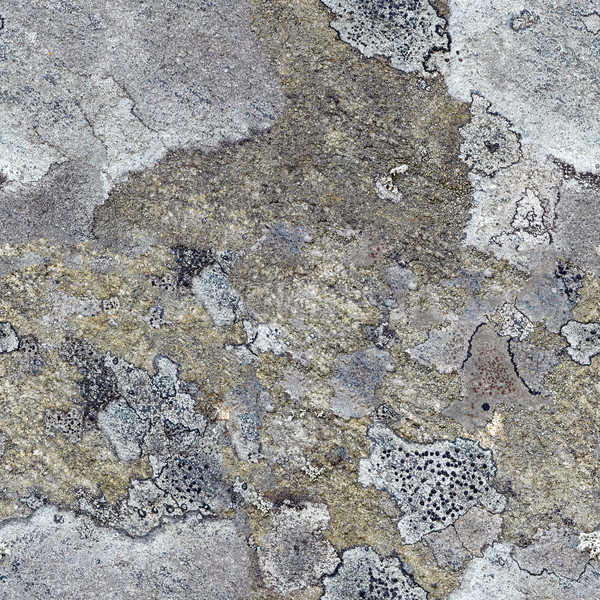 Seamless pattern - granite rock with north lichen Stock photo © pzaxe