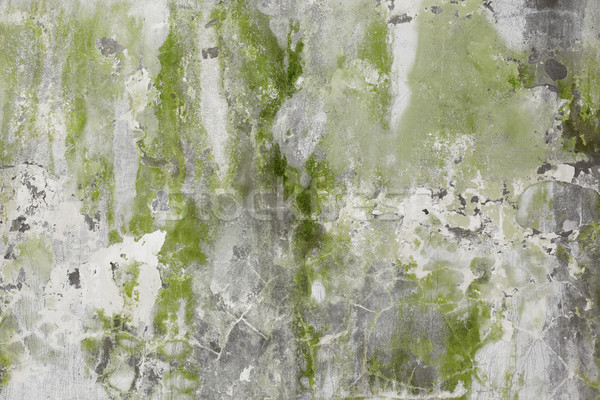 Old stone wall with greenish plaster Stock photo © pzaxe
