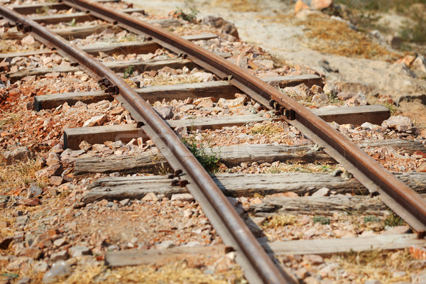 The old narrow-gauge railway Stock photo © pzaxe