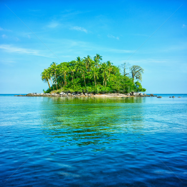 Atoll Meer blauer Himmel Wasser tropischen aus Stock foto © pzaxe