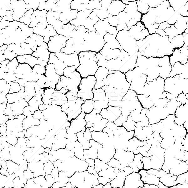 Cracked seamless pattern vector texture. Black cracks on white b Stock photo © pzaxe