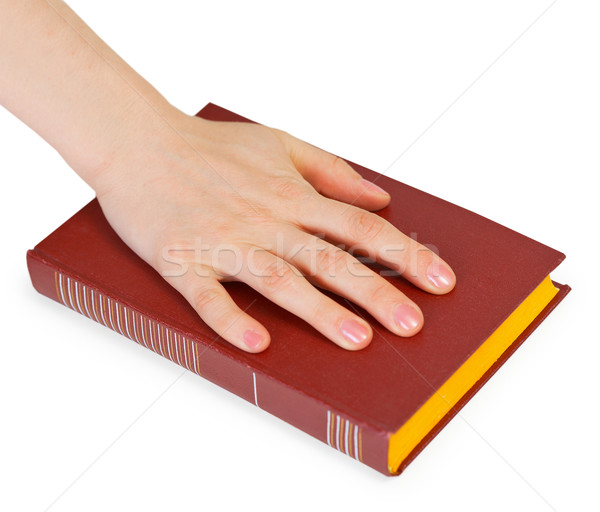 Hand of person reciting the oath on book Stock photo © pzaxe