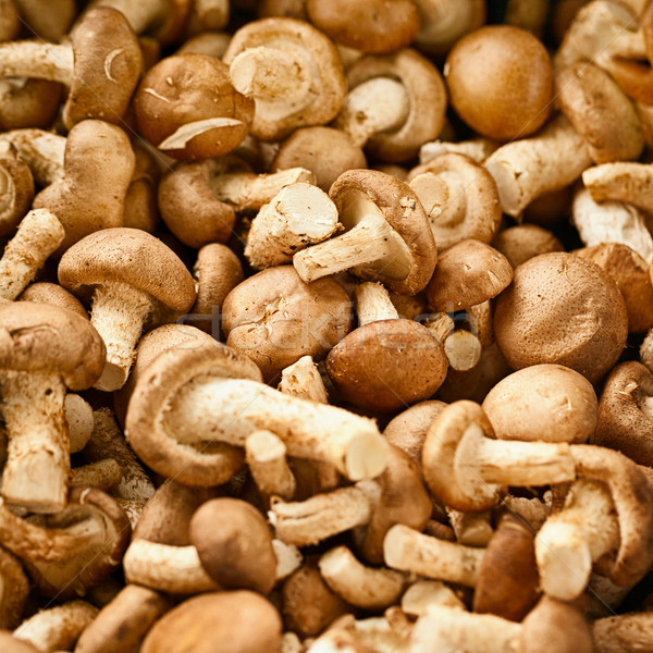Edible mushrooms on the market Stock photo © pzaxe