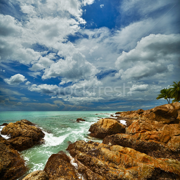 Beautiful seascape with rocks Stock photo © pzaxe