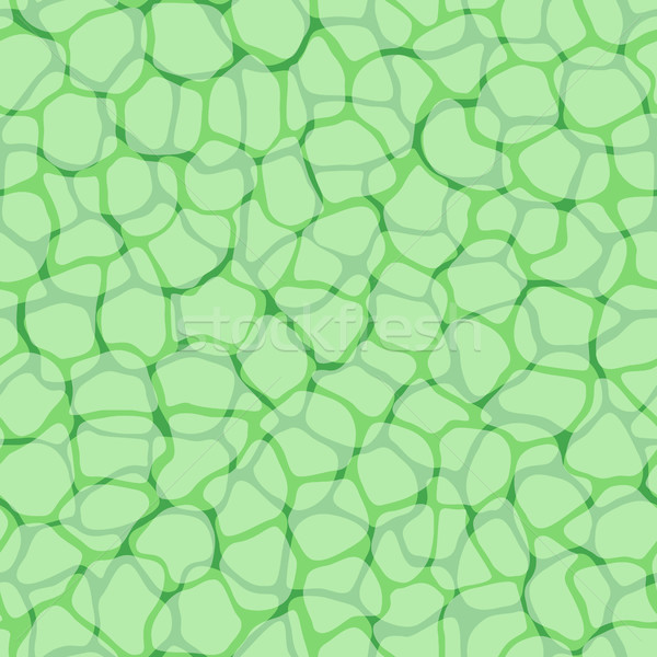 Plant micro patroon vector bio abstract Stockfoto © pzaxe