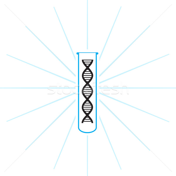 Test tube with DNA inside - vector Stock photo © pzaxe