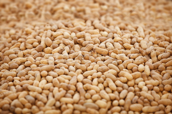 Peanuts in shells.  Stock photo © pzaxe