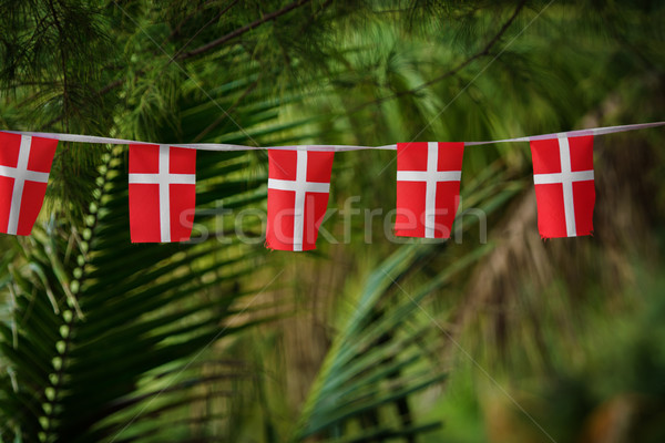 Small Danish flags decorate tropical palms in Thailand Stock photo © pzaxe