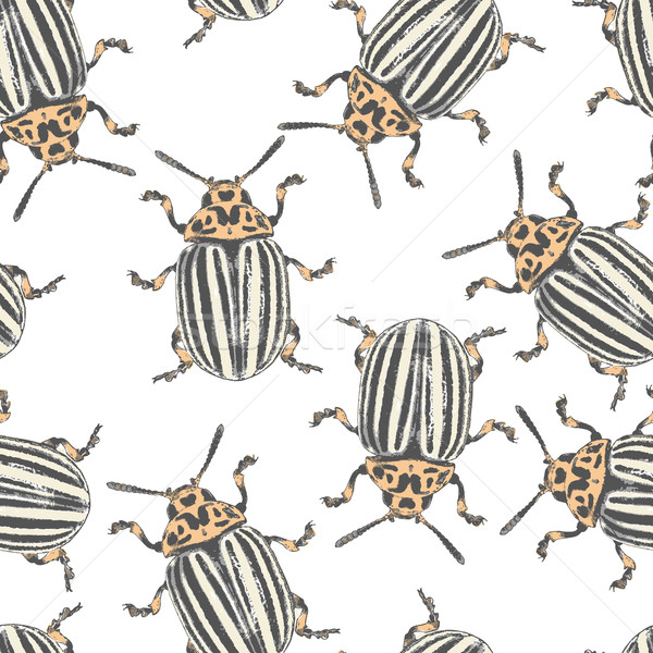 Colorado beetles vector texture Stock photo © pzaxe