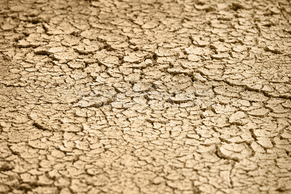 Cracked dry earth - natural background Stock photo © pzaxe