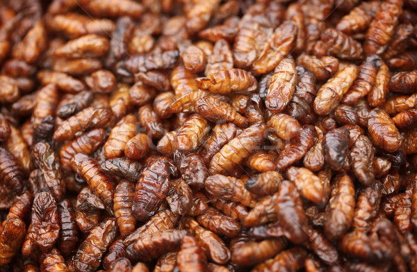 Fried in oil silkworm larvae Stock photo © pzaxe
