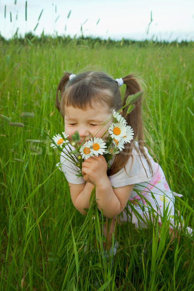 Little girl embraces flowers - chamomiles Stock photo © pzaxe