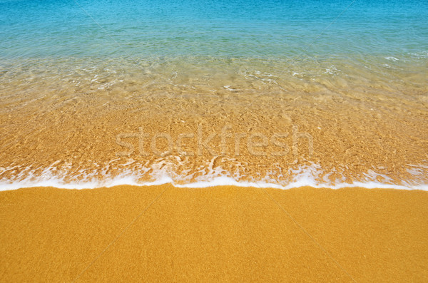 Surf on tropical beach - background Stock photo © pzaxe