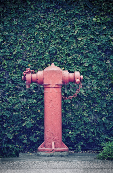 Old street fire hydrant Stock photo © pzaxe