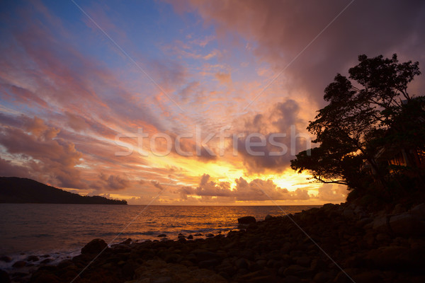 Beautiful tranquil sun rise on the coastline Stock photo © pzaxe