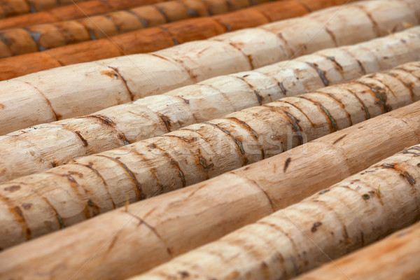Logs of palm trees - material for tropical construction Stock photo © pzaxe