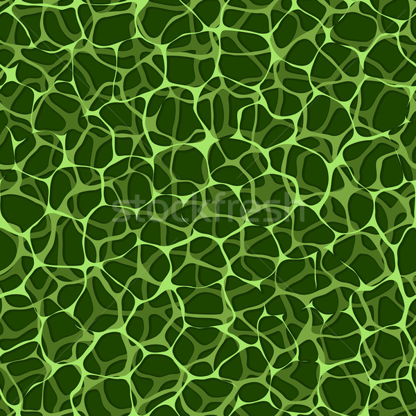 Vektor végtelenített biológiai minta zöld vénák Stock fotó © pzaxe
