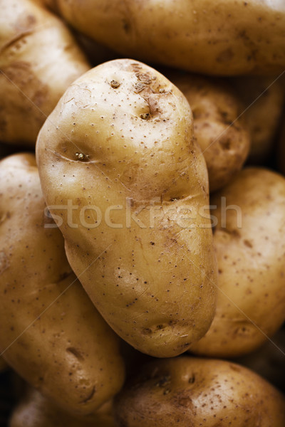 Large potatoes at the market close up Stock photo © pzaxe