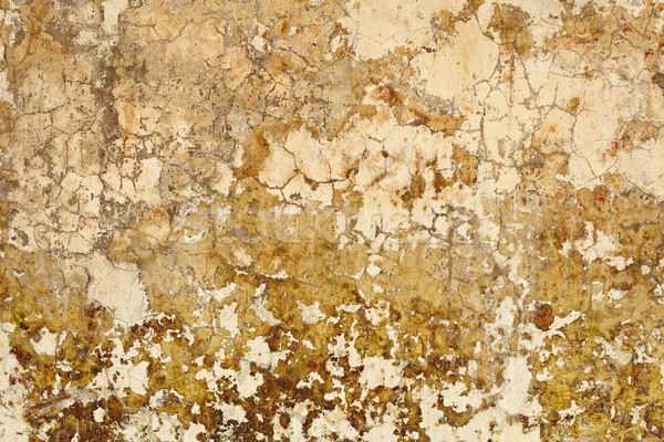 Nasty plaster on wall surface Stock photo © pzaxe