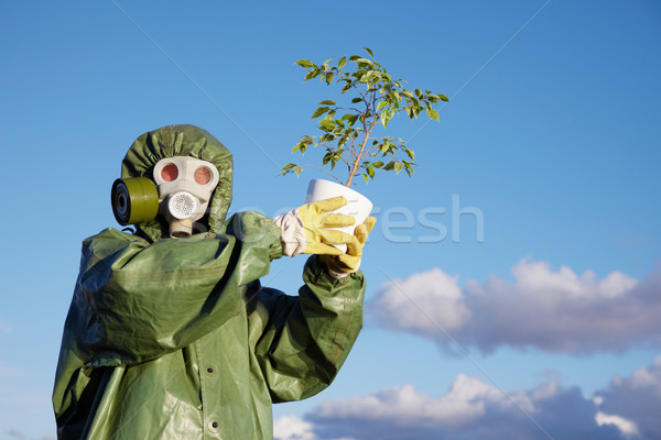 Person in protective clothes holds last ficus Stock photo © pzaxe