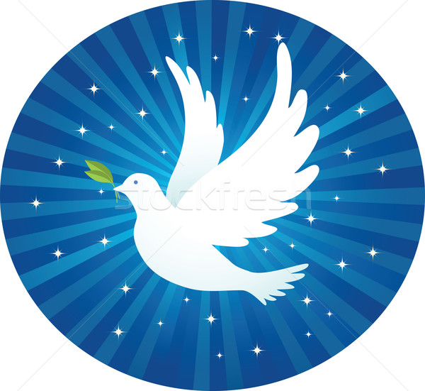 Vuelo paloma hoja ilustración azul Foto stock © qiun