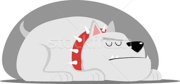 Big Dog with red collar Stock photo © qiun