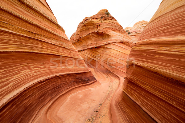 песчаник эрозия волна ветер Сток-фото © Quasarphoto