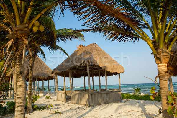 木製 ビーチ ヤシの木 海 手のひら 旅行 ストックフォト © Quasarphoto