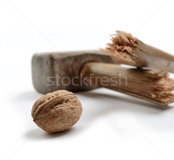 Walnut with Sledgehammer Close Up Stock photo © Quka