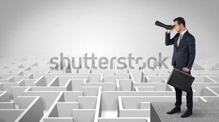 Businessman on rock mountain with a question mark Stock photo © ra2studio