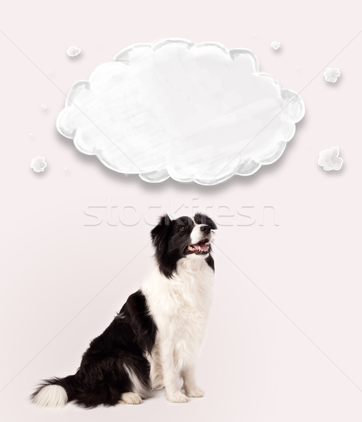 Bonitinho border collie vazio nuvem preto e branco acima Foto stock © ra2studio