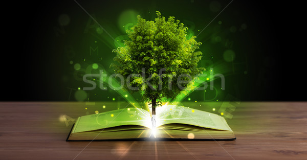 Offenes Buch Strahlen Licht Holz Stock foto © ra2studio