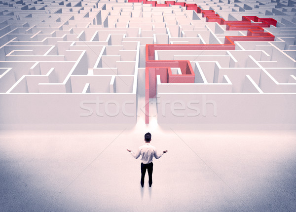 Maze solved for businessman concept Stock photo © ra2studio