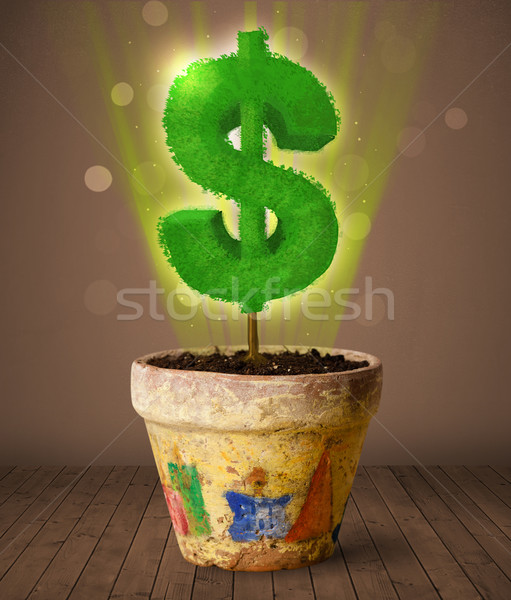 Signo de dólar árbol fuera maceta brillante negocios Foto stock © ra2studio