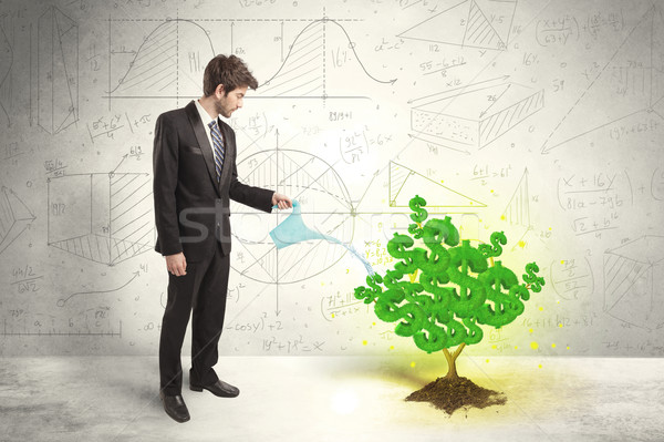 Geschäftsmann Bewässerung zunehmend grünen Dollarzeichen Baum Stock foto © ra2studio