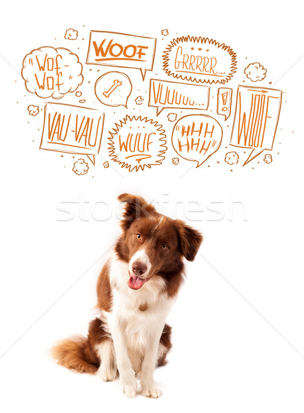 Cute dog with barking bubbles Stock photo © ra2studio