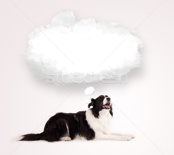 Cute dog with empty cloud bubble Stock photo © ra2studio