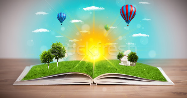 Stockfoto: Open · boek · groene · natuur · wereld · uit