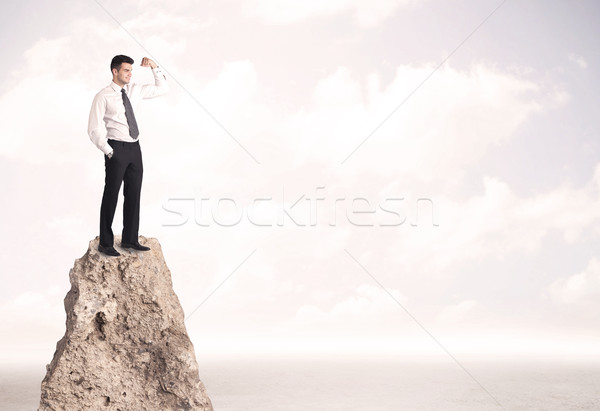 Happy businessman standing on cliff Stock photo © ra2studio