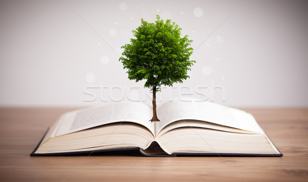 Foto stock: árvore · crescente · livro · aberto · alternativa · reciclagem · livro