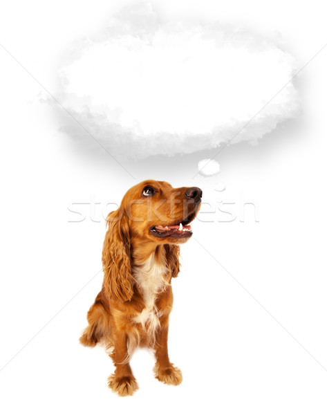 Cute dog with empty cloud bubble Stock photo © ra2studio