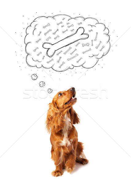 Cute dog with thought bubble thinking about a bone Stock photo © ra2studio