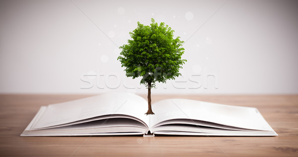 Tree growing from an open book Stock photo © ra2studio