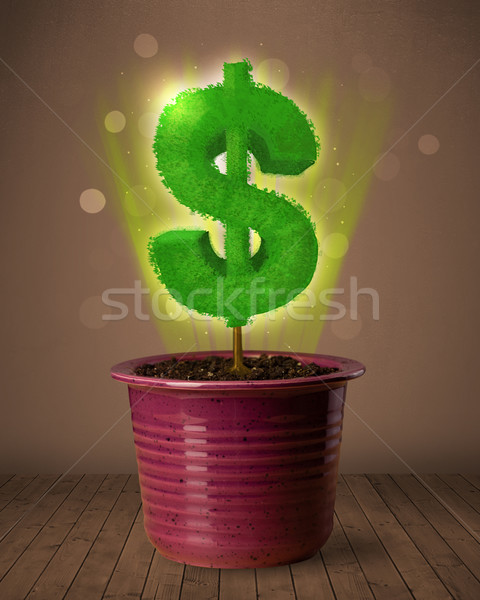Znak dolara drzewo na zewnątrz doniczka działalności Zdjęcia stock © ra2studio