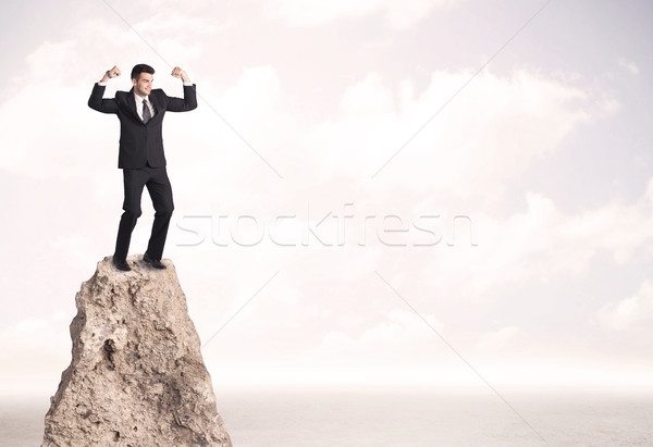 Happy businessman standing on cliff Stock photo © ra2studio