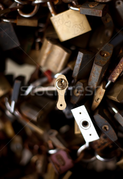 group of locks Stock photo © ra2studio