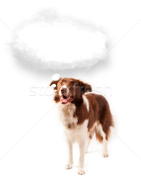 Cute chien vide nuage bulle brun [[stock_photo]] © ra2studio